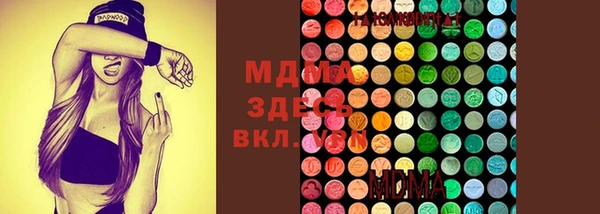 ешки Гусь-Хрустальный