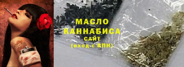 ешки Гусь-Хрустальный