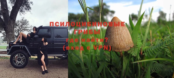 дживик Гусев