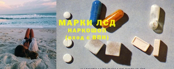 дживик Гусев