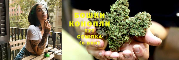 ешки Гусь-Хрустальный
