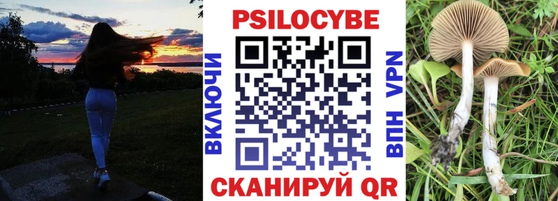 Псилоцибиновые грибы Psilocybine cubensis  Купить закладки  Кохма 
